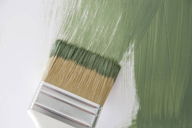 Best Emergency Mold Remediation  in Grafton, WV