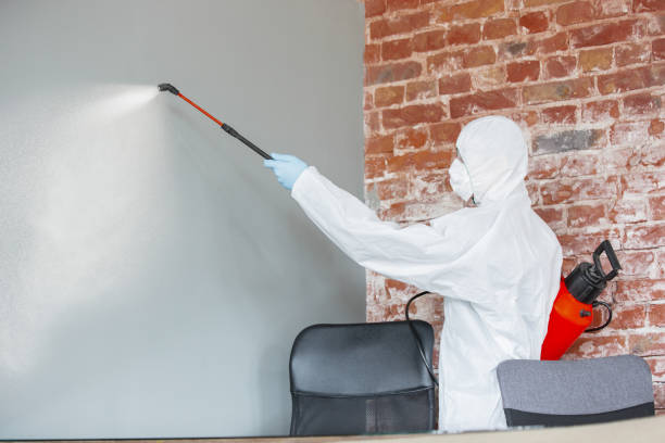 Best Mold Prevention Services  in Grafton, WV