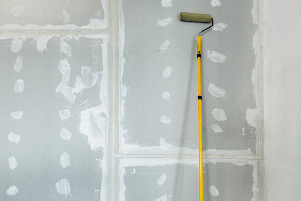 Best Mold Damage Restoration  in Grafton, WV