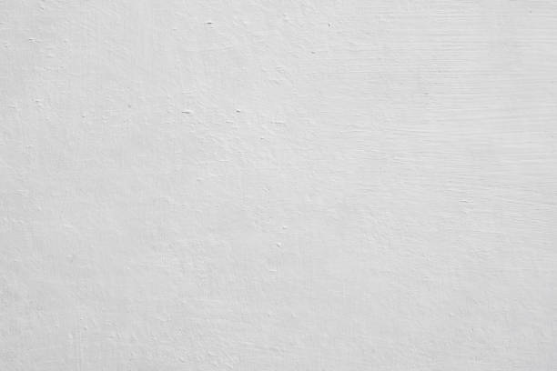 Environmental Consulting for Mold Prevention in Grafton, WV