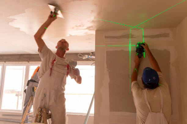 Best Asbestos and Lead Testing During Mold Inspection  in Grafton, WV