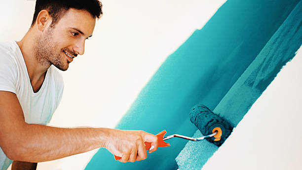 Best Mold Documentation for Insurance Claims  in Grafton, WV