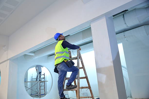  Grafton, WV Mold Removal Pros