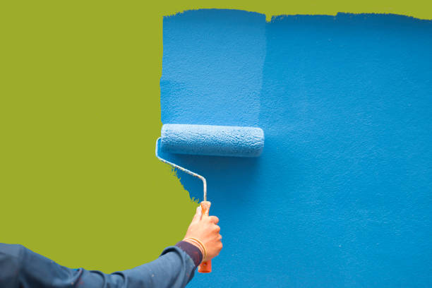 Best Real Estate Mold Inspection  in Grafton, WV